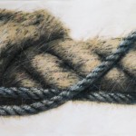 corda grande e corda azzurra, 1984